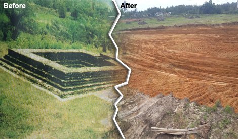 candi-11-before-after-demolished-image-from-says-com_