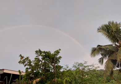 Rainbow Wonder